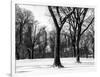 Winter Snow in Central Park-Philippe Hugonnard-Framed Photographic Print