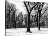 Winter Snow in Central Park-Philippe Hugonnard-Stretched Canvas