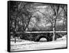 Winter Snow in Central Park-Philippe Hugonnard-Framed Stretched Canvas