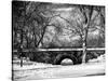 Winter Snow in Central Park-Philippe Hugonnard-Stretched Canvas