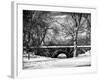 Winter Snow in Central Park-Philippe Hugonnard-Framed Photographic Print