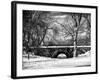 Winter Snow in Central Park-Philippe Hugonnard-Framed Photographic Print