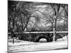 Winter Snow in Central Park-Philippe Hugonnard-Mounted Photographic Print