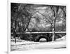 Winter Snow in Central Park-Philippe Hugonnard-Framed Photographic Print