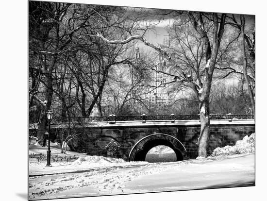 Winter Snow in Central Park-Philippe Hugonnard-Mounted Photographic Print