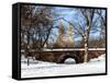 Winter Snow in Central Park-Philippe Hugonnard-Framed Stretched Canvas