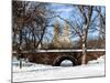 Winter Snow in Central Park-Philippe Hugonnard-Mounted Photographic Print