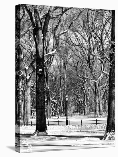 Winter Snow in Central Park-Philippe Hugonnard-Stretched Canvas