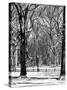 Winter Snow in Central Park-Philippe Hugonnard-Stretched Canvas