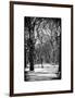 Winter Snow in Central Park-Philippe Hugonnard-Framed Photographic Print