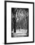 Winter Snow in Central Park-Philippe Hugonnard-Framed Photographic Print