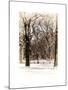 Winter Snow in Central Park-Philippe Hugonnard-Mounted Photographic Print