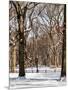 Winter Snow in Central Park-Philippe Hugonnard-Mounted Photographic Print