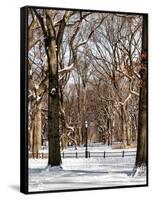 Winter Snow in Central Park-Philippe Hugonnard-Framed Stretched Canvas