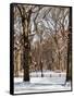 Winter Snow in Central Park-Philippe Hugonnard-Framed Stretched Canvas