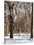 Winter Snow in Central Park-Philippe Hugonnard-Stretched Canvas