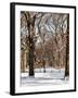 Winter Snow in Central Park-Philippe Hugonnard-Framed Photographic Print