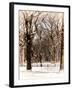 Winter Snow in Central Park-Philippe Hugonnard-Framed Photographic Print