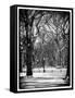 Winter Snow in Central Park-Philippe Hugonnard-Framed Stretched Canvas