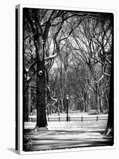 Winter Snow in Central Park-Philippe Hugonnard-Stretched Canvas