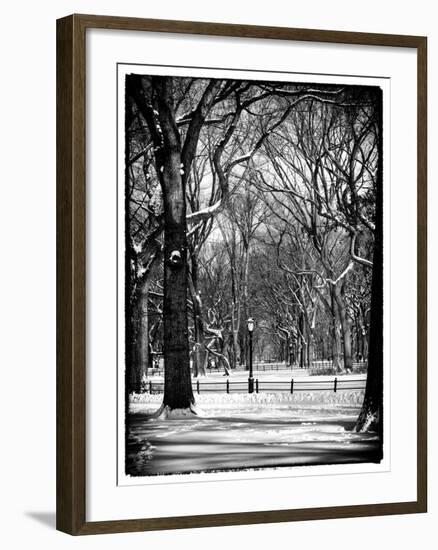 Winter Snow in Central Park-Philippe Hugonnard-Framed Photographic Print