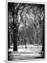 Winter Snow in Central Park-Philippe Hugonnard-Mounted Photographic Print