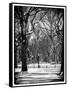 Winter Snow in Central Park-Philippe Hugonnard-Framed Stretched Canvas