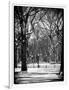 Winter Snow in Central Park-Philippe Hugonnard-Framed Photographic Print