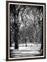 Winter Snow in Central Park-Philippe Hugonnard-Framed Photographic Print