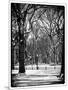 Winter Snow in Central Park-Philippe Hugonnard-Mounted Photographic Print