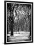 Winter Snow in Central Park-Philippe Hugonnard-Framed Photographic Print