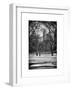 Winter Snow in Central Park-Philippe Hugonnard-Framed Art Print