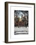 Winter Snow in Central Park-Philippe Hugonnard-Framed Art Print