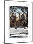 Winter Snow in Central Park-Philippe Hugonnard-Mounted Art Print