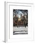 Winter Snow in Central Park-Philippe Hugonnard-Framed Art Print