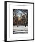 Winter Snow in Central Park-Philippe Hugonnard-Framed Art Print