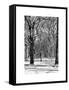 Winter Snow in Central Park-Philippe Hugonnard-Framed Stretched Canvas