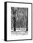 Winter Snow in Central Park-Philippe Hugonnard-Framed Stretched Canvas