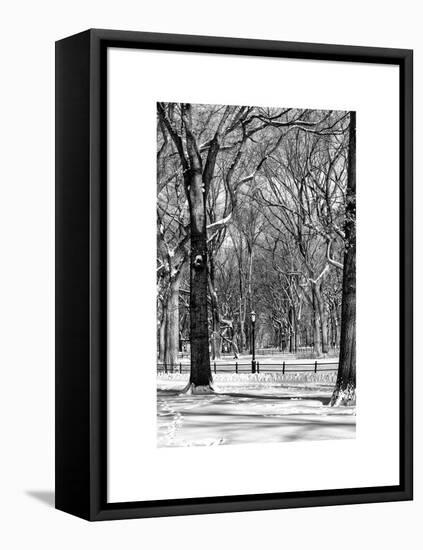 Winter Snow in Central Park-Philippe Hugonnard-Framed Stretched Canvas