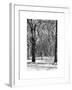 Winter Snow in Central Park-Philippe Hugonnard-Framed Art Print