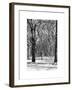 Winter Snow in Central Park-Philippe Hugonnard-Framed Art Print