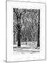 Winter Snow in Central Park-Philippe Hugonnard-Mounted Art Print