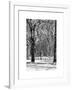 Winter Snow in Central Park-Philippe Hugonnard-Framed Art Print