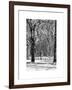 Winter Snow in Central Park-Philippe Hugonnard-Framed Art Print