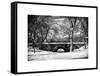 Winter Snow in Central Park-Philippe Hugonnard-Framed Stretched Canvas