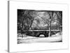 Winter Snow in Central Park-Philippe Hugonnard-Stretched Canvas