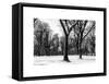 Winter Snow in Central Park-Philippe Hugonnard-Framed Stretched Canvas