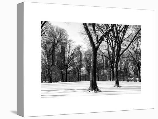 Winter Snow in Central Park-Philippe Hugonnard-Stretched Canvas