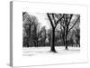 Winter Snow in Central Park-Philippe Hugonnard-Stretched Canvas