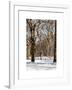 Winter Snow in Central Park-Philippe Hugonnard-Framed Art Print